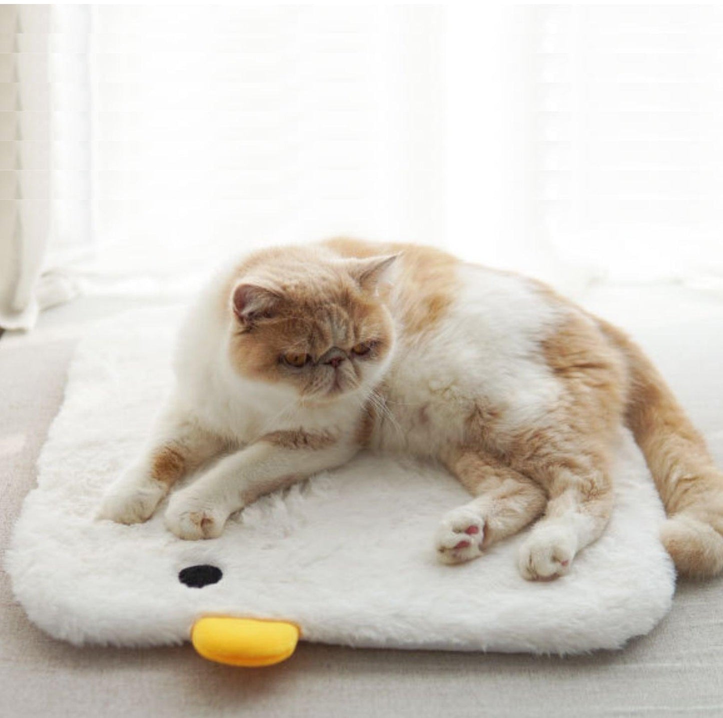 Purroom Little Chicken Series: Cozy and Washable Pet Sleep Mat - {{product.type}} - PawPawUp