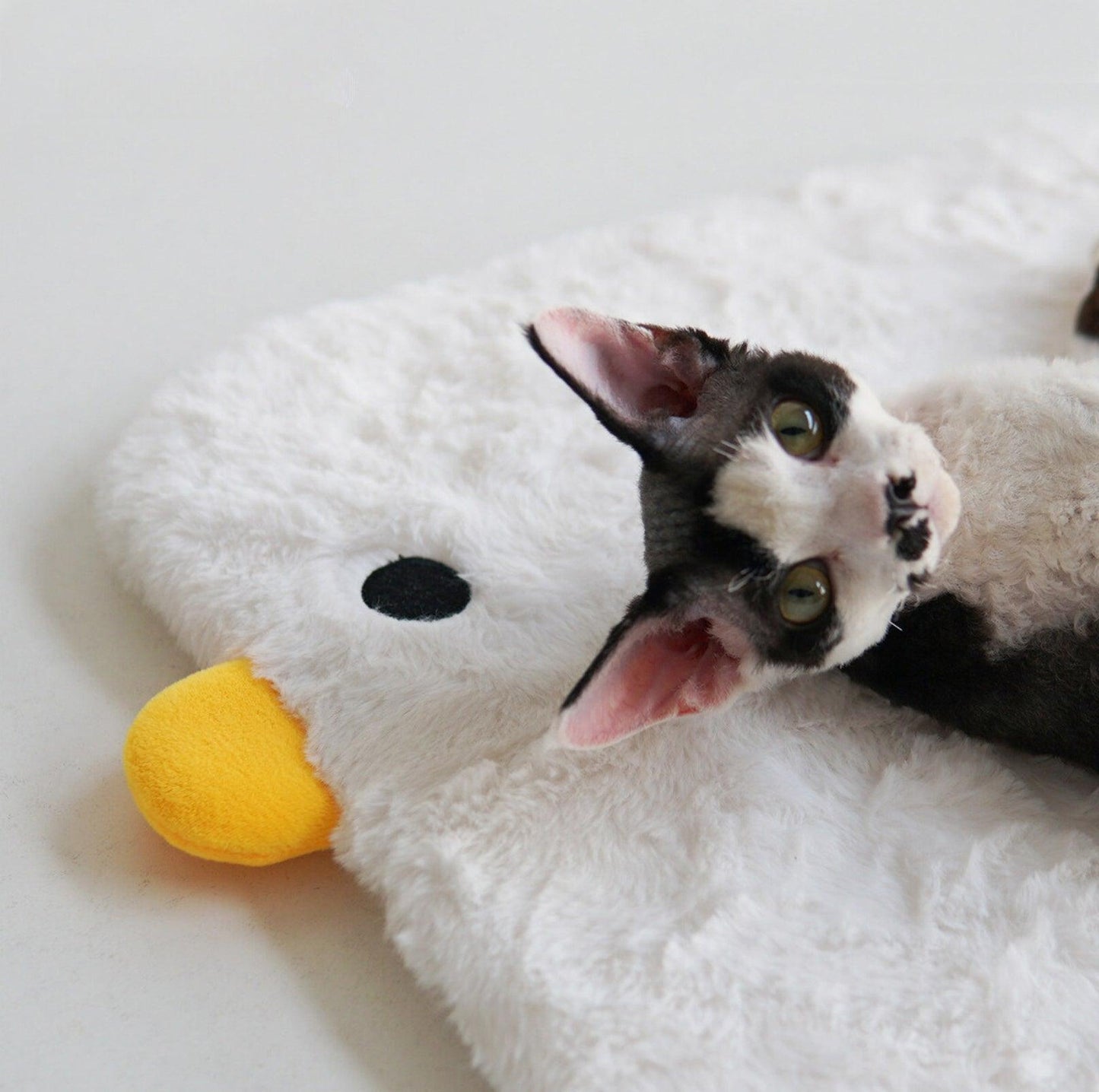 Purroom Little Chicken Series: Cozy and Washable Pet Sleep Mat - {{product.type}} - PawPawUp