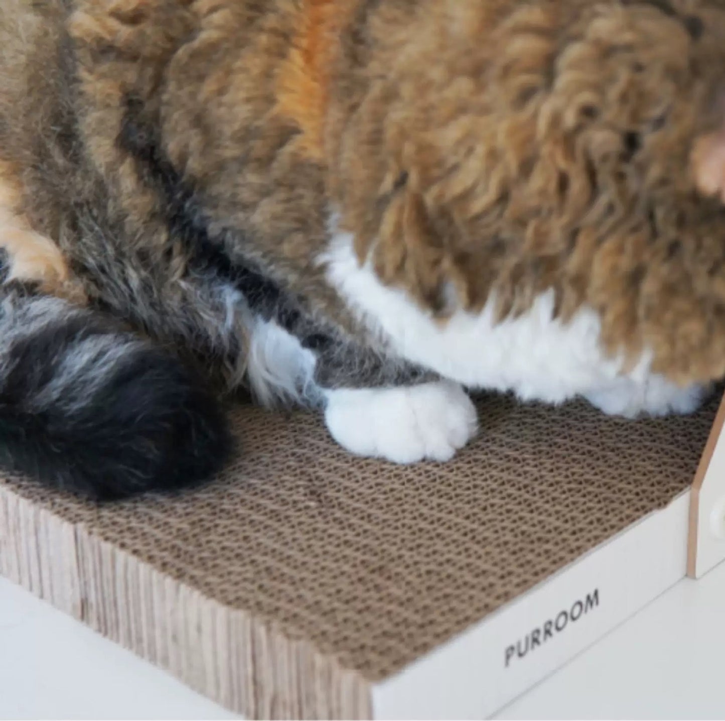 PURROOM Little Chicken Series - Freestanding Large L-Shaped Cat Scratcher - {{product.type}} - PawPawUp