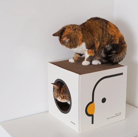 PURROOM Little Chicken Series: Square-Shaped Cat Scratcher House - {{product.type}} - PawPawUp