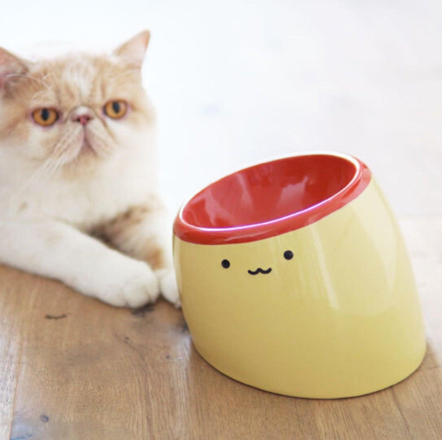 PURROOM Pudding-Shaped Elevated Slanted Bowl - {{product.type}} - PawPawUp