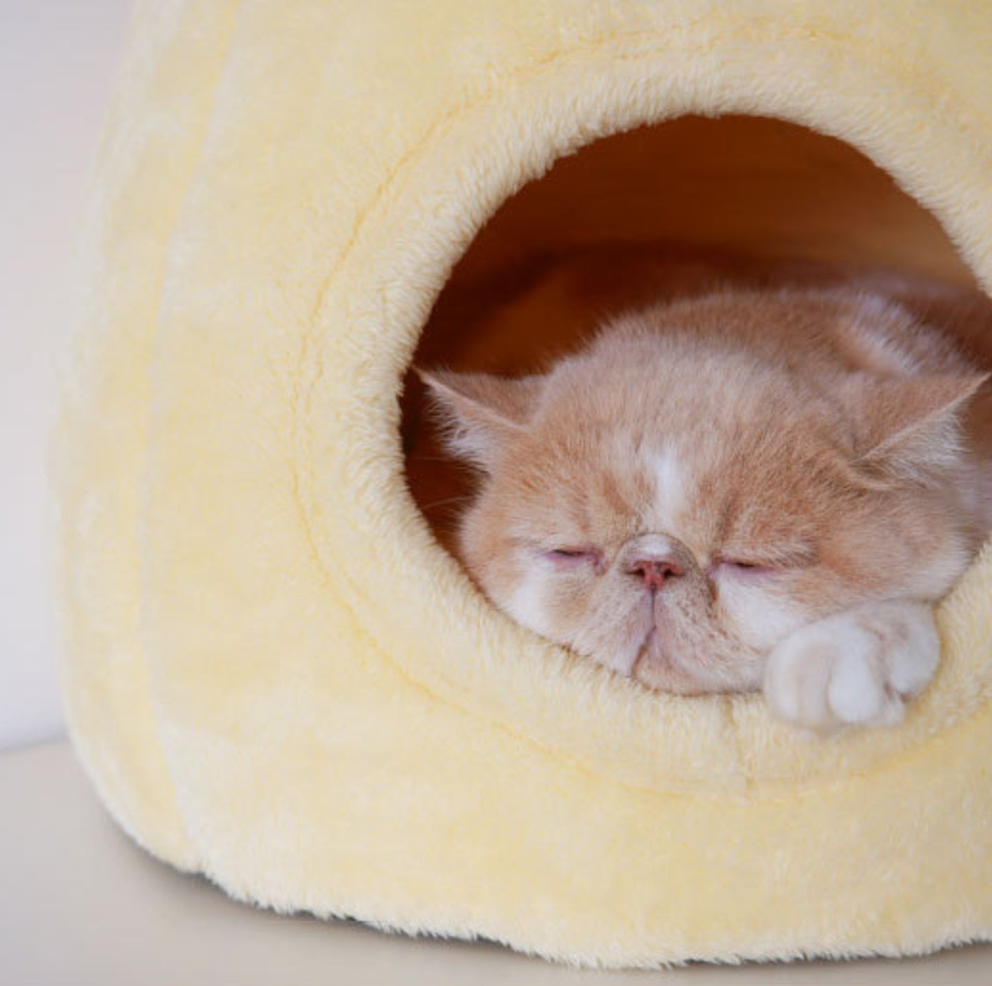 PURROOM Pudding-Shaped Plush Pet Bed - {{product.type}} - PawPawUp