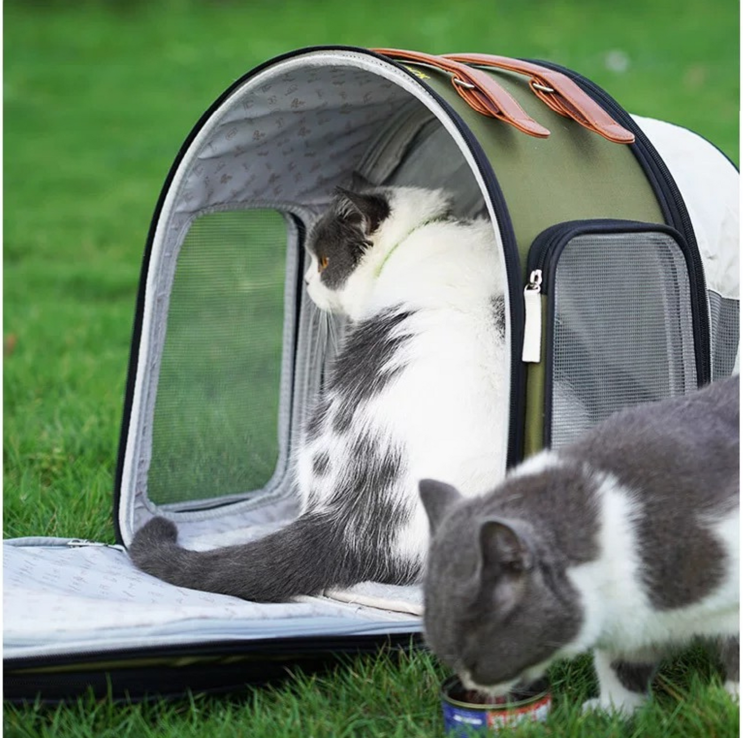 Purrpy Multifunctional Pet Backpack & Tent Car Carrier - {{product.type}} - PawPawUp