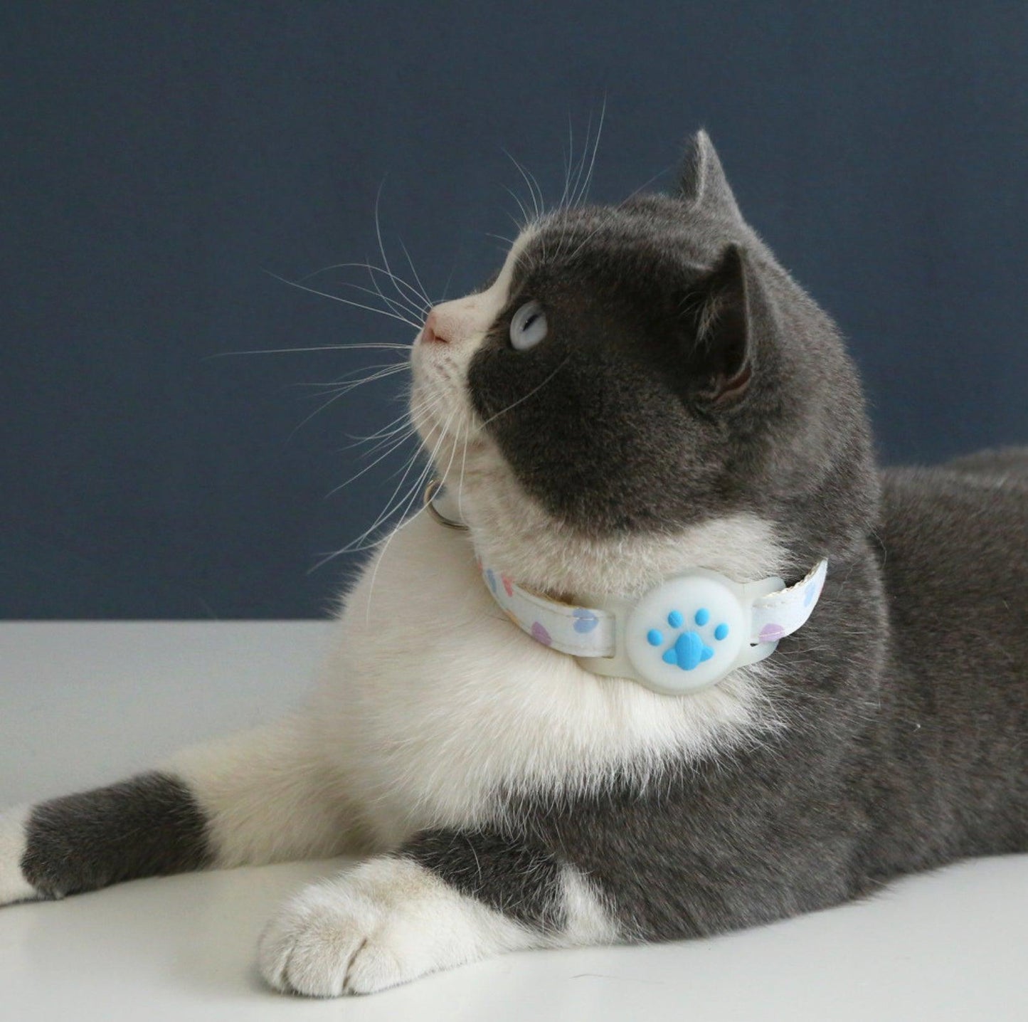 Silicone AirTag Collar Accessory for Pet Safety & Tracking - {{product.type}} - PawPawUp