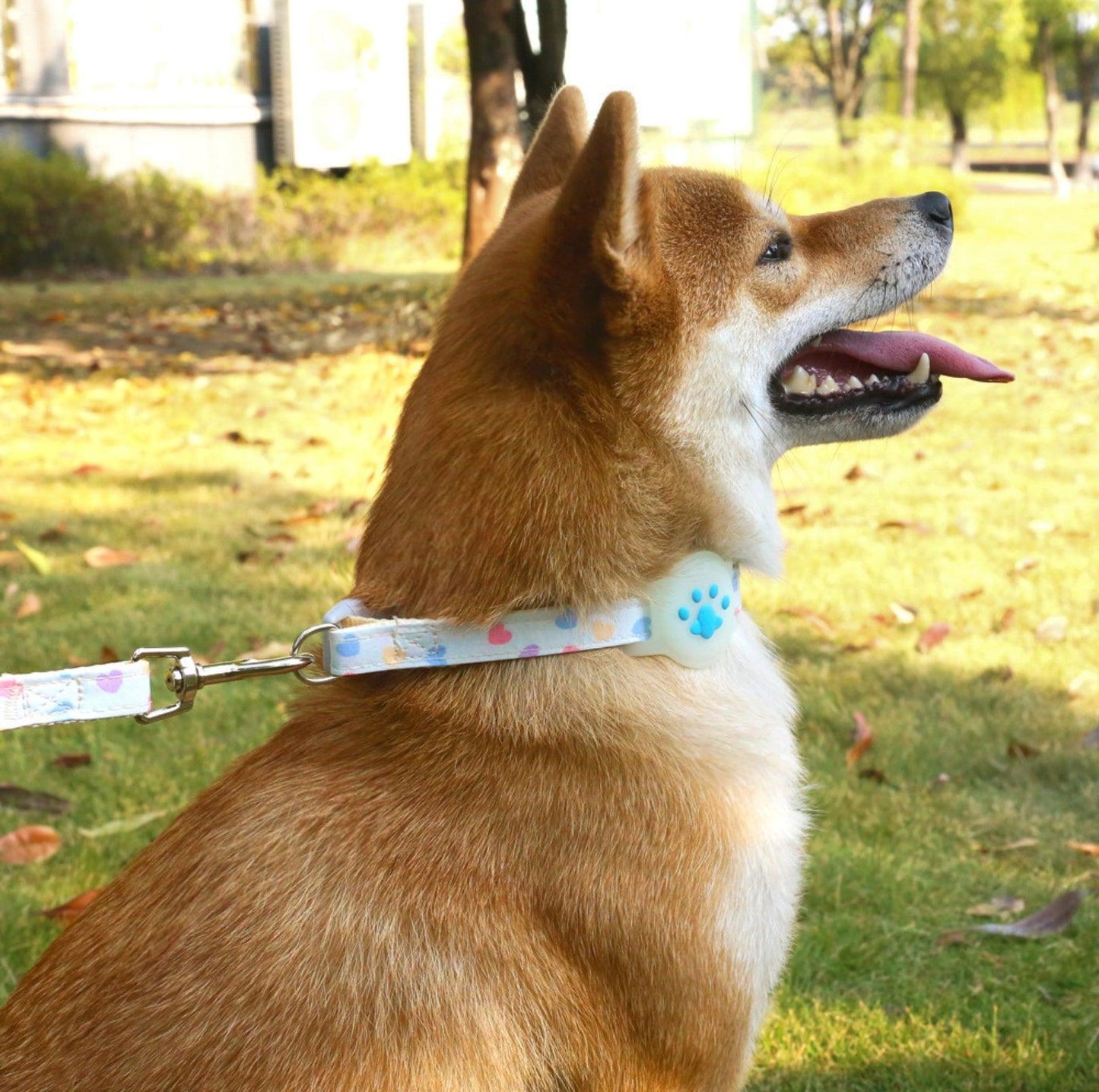 Silicone AirTag Collar Accessory for Pet Safety & Tracking - {{product.type}} - PawPawUp
