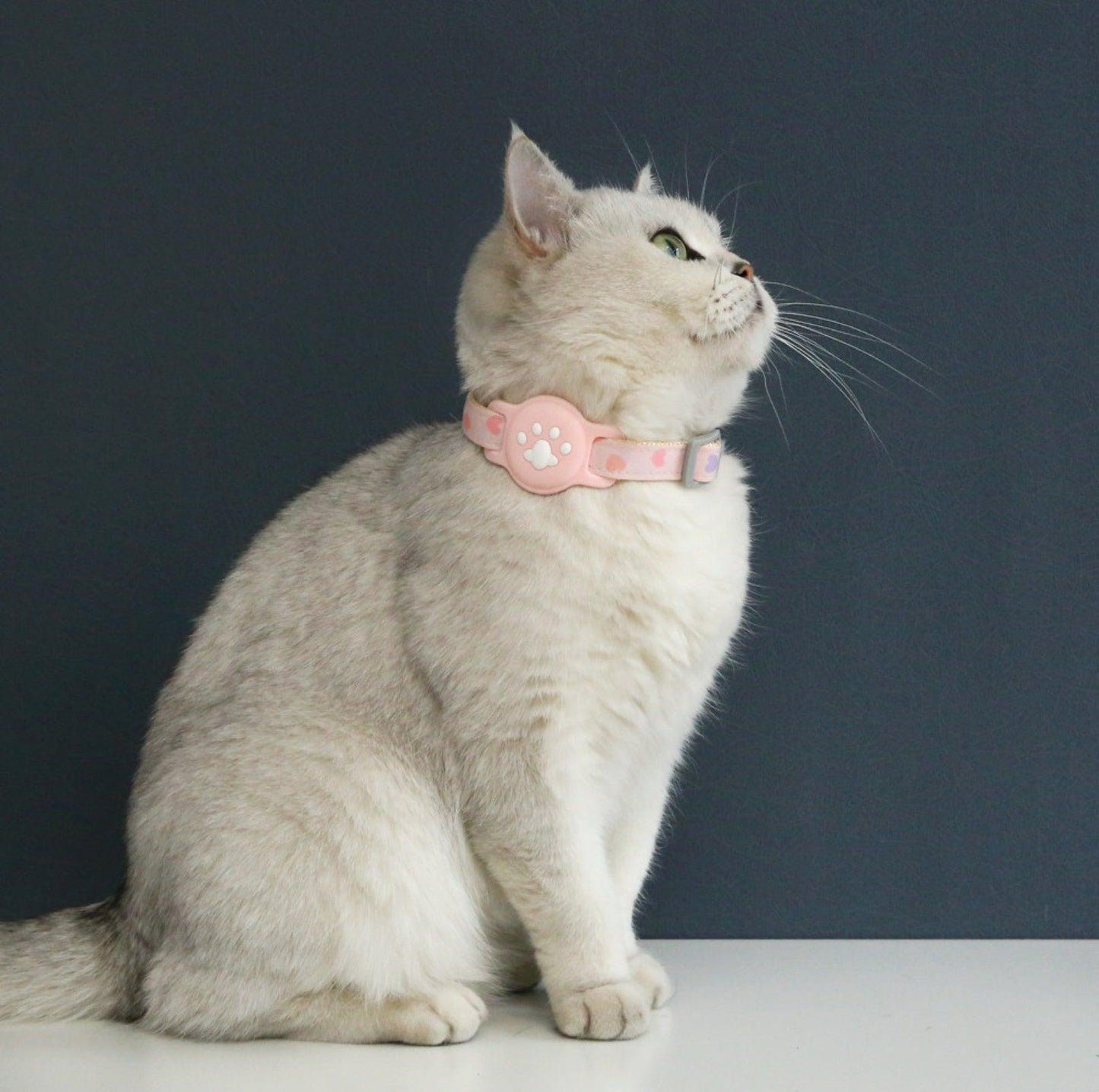 Silicone AirTag Collar Accessory for Pet Safety & Tracking - {{product.type}} - PawPawUp