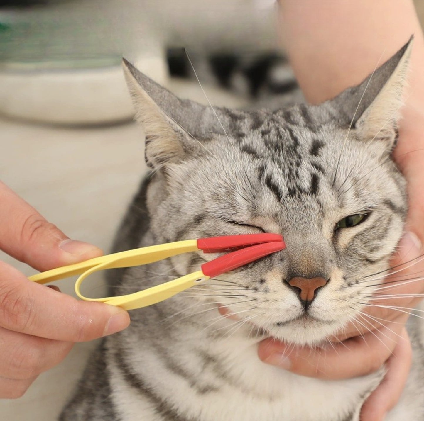 Silicone Pet Eye Cleaning Brush with Clip – Gentle & Hygienic for Cats and Dogs - {{product.type}} - PawPawUp