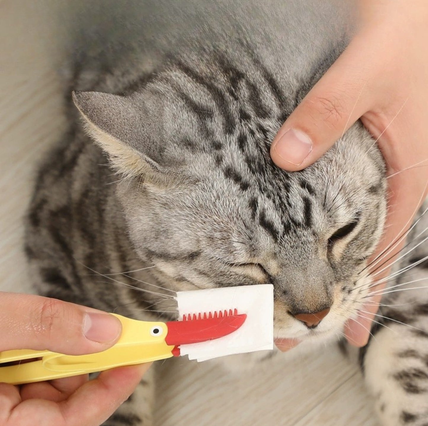 Silicone Pet Eye Cleaning Brush with Clip – Gentle & Hygienic for Cats and Dogs - {{product.type}} - PawPawUp