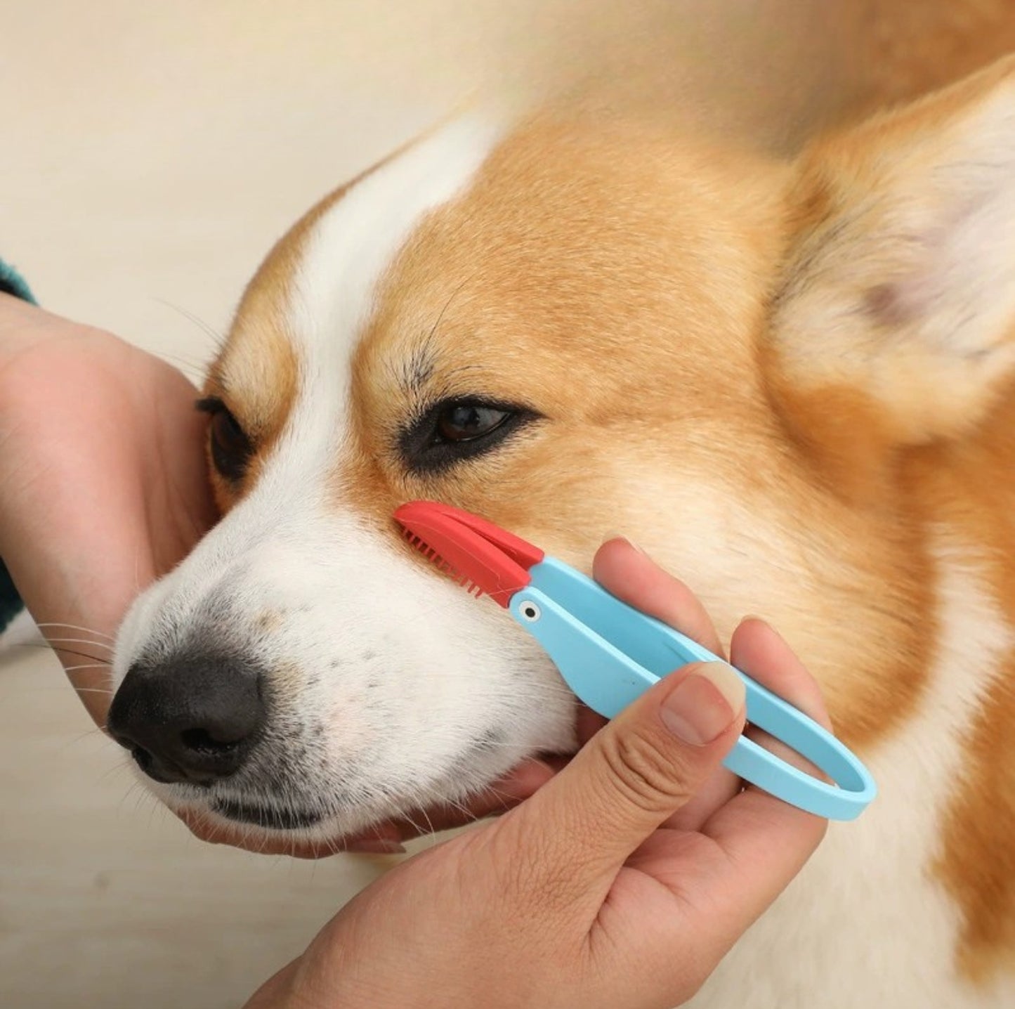 Silicone Pet Eye Cleaning Brush with Clip – Gentle & Hygienic for Cats and Dogs - {{product.type}} - PawPawUp