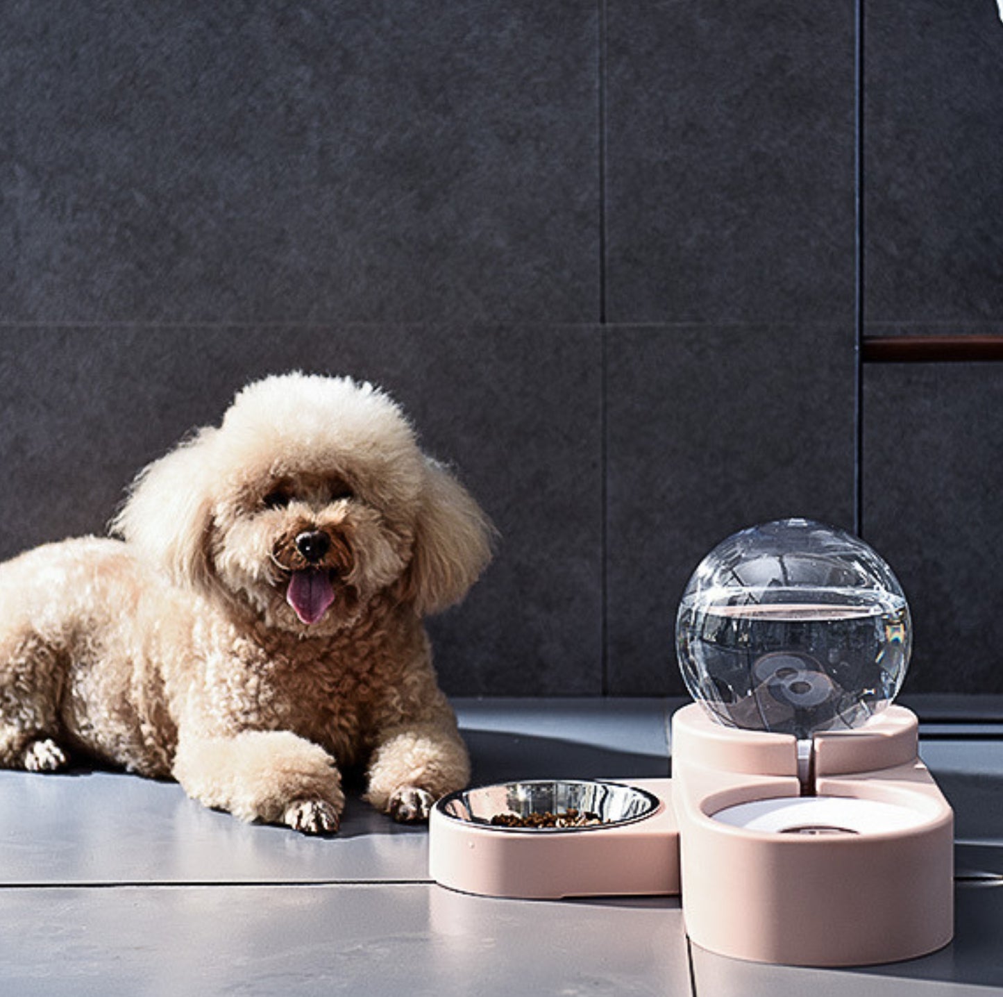 Spherical Double Cat and Small Dog Bowl With Automatic Water Refill - {{product.type}} - PawPawUp