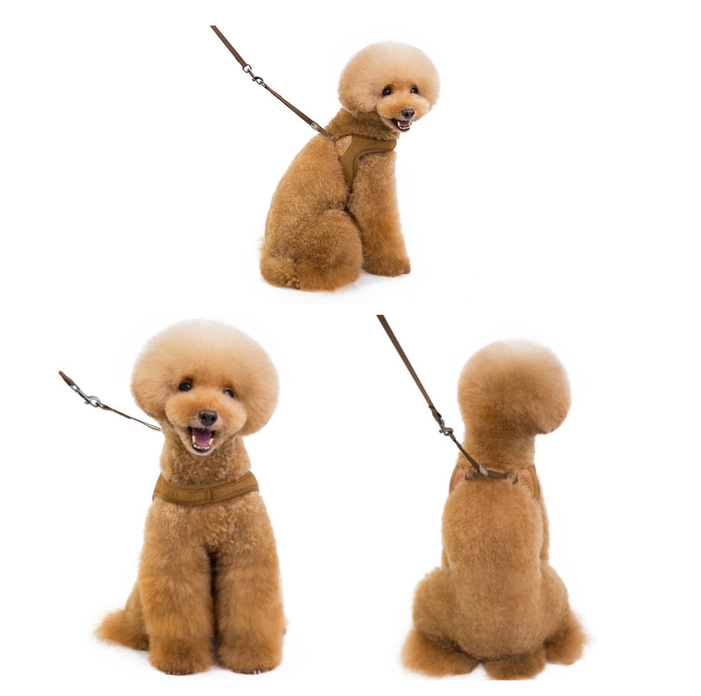 V-Shaped Dog Vest Harness with Leash - {{product.type}} - PawPawUp