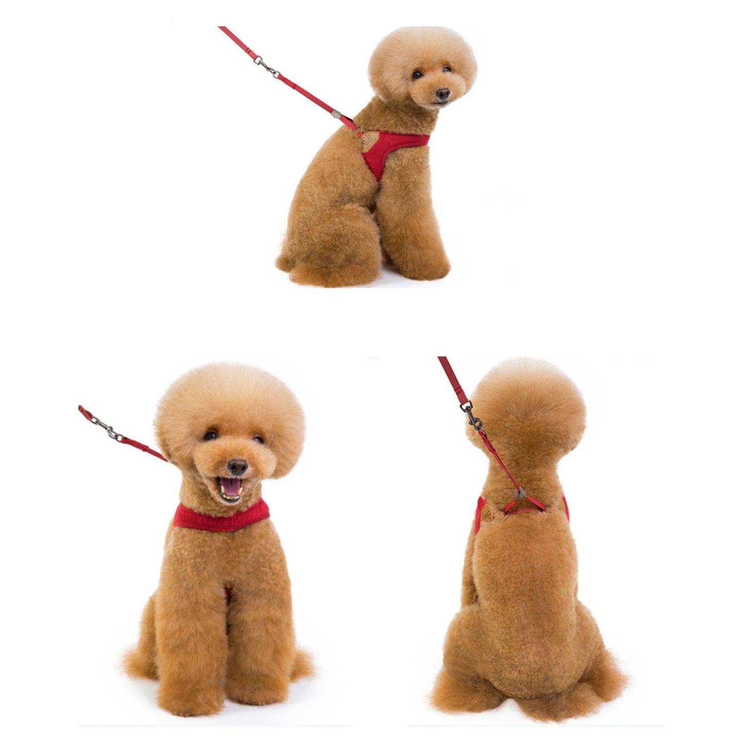 V-Shaped Dog Vest Harness with Leash - {{product.type}} - PawPawUp