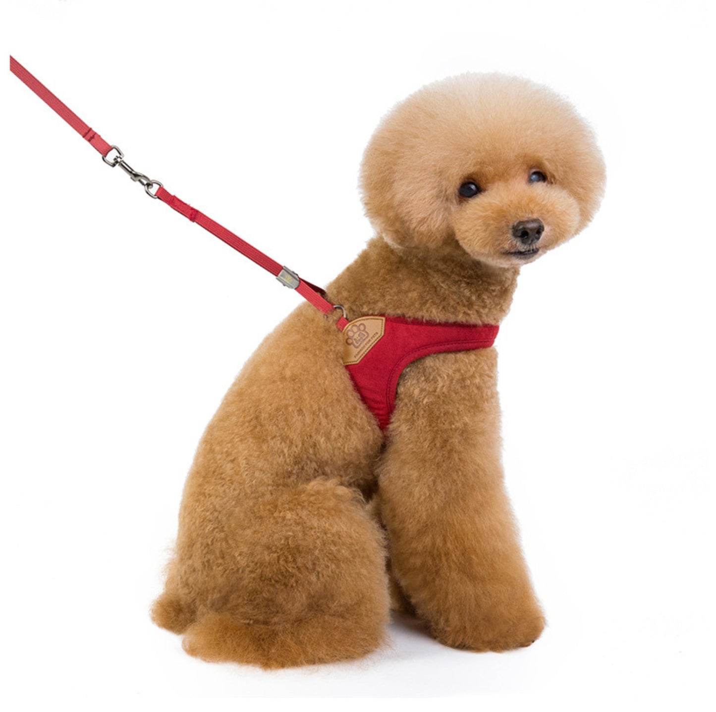 V-Shaped Dog Vest Harness with Leash - {{product.type}} - PawPawUp
