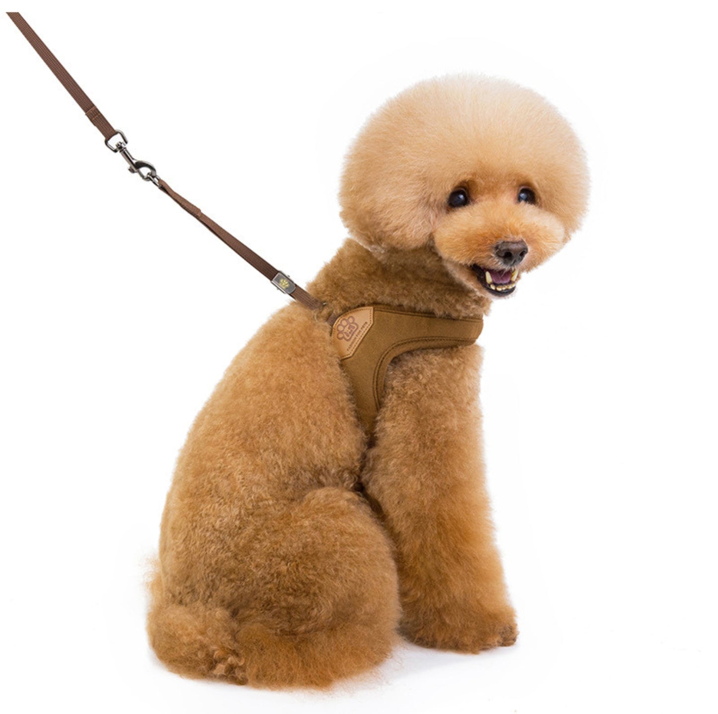 V-Shaped Dog Vest Harness with Leash - {{product.type}} - PawPawUp
