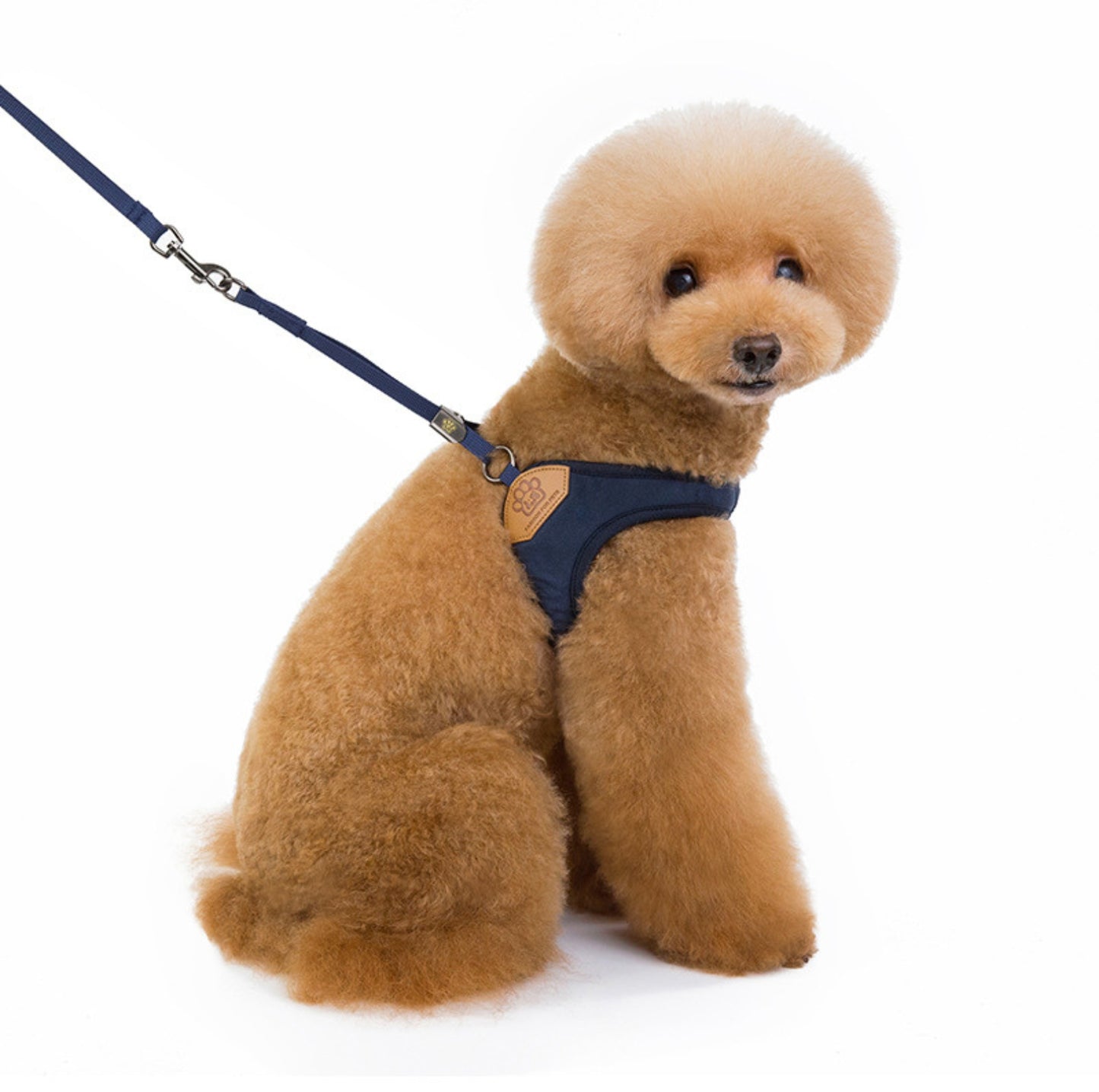 V-Shaped Dog Vest Harness with Leash - {{product.type}} - PawPawUp