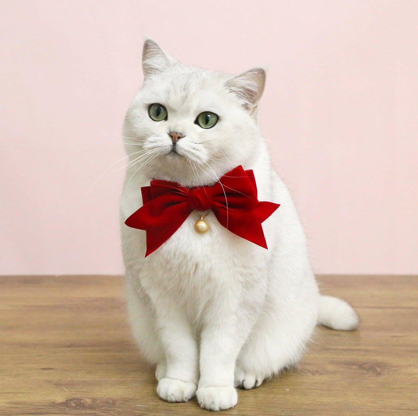 Velvet Bowtie Birthday Collar for Pets - Red with Bell - {{product.type}} - PawPawUp