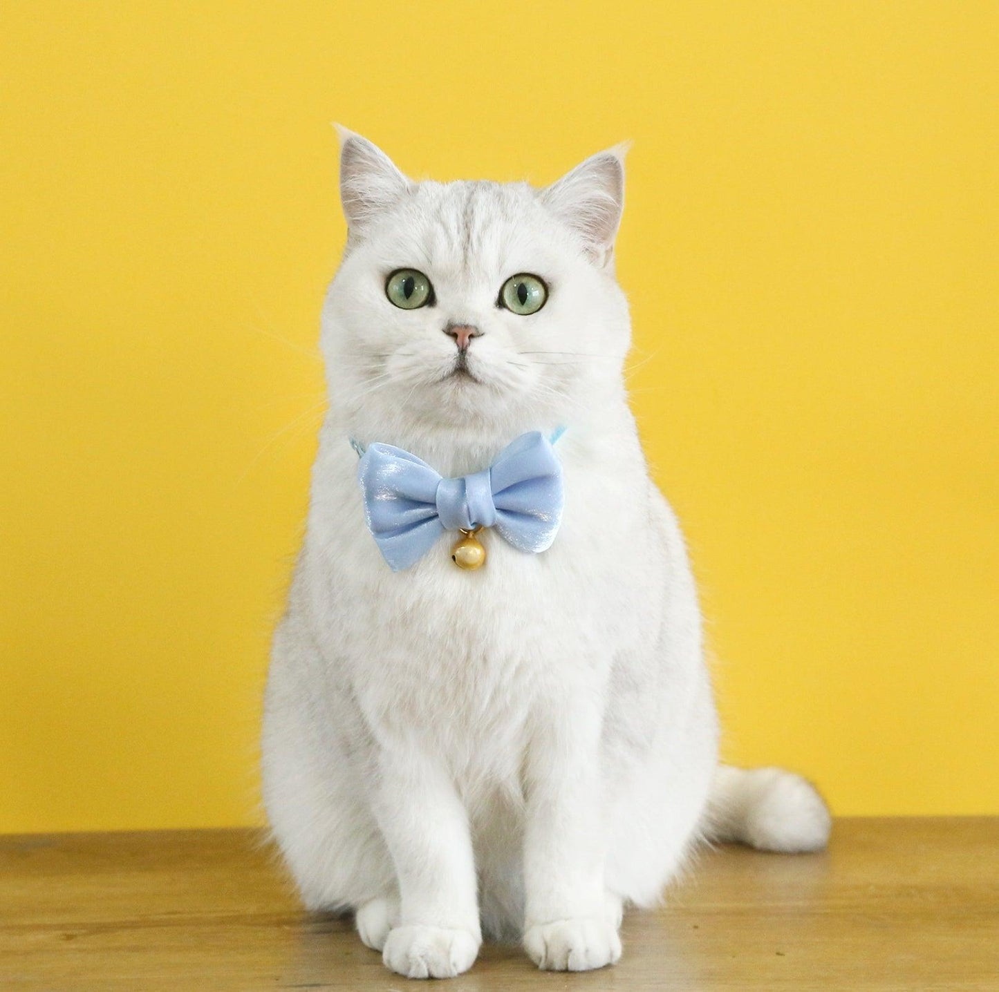 Velvet Pearl Bow Adjustable Pet Collar - {{product.type}} - PawPawUp