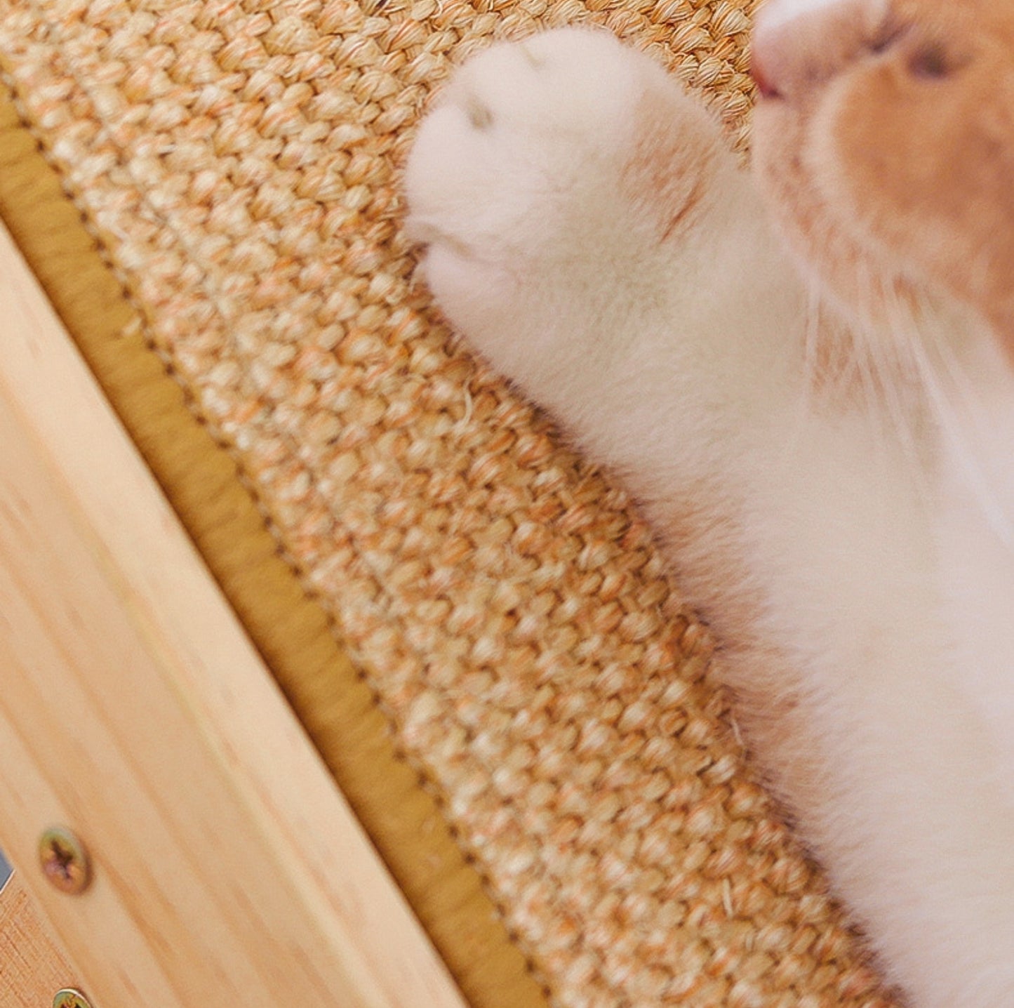 Vertical Sisal Cat Scratching Stand - {{product.type}} - PawPawUp
