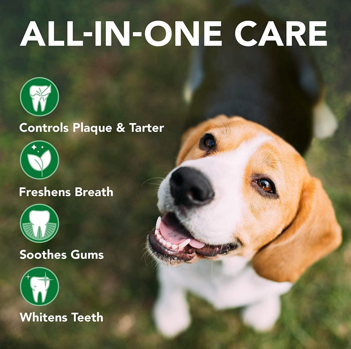 VET'S BEST Triple Headed Toothbrush For Dogs - {{product.type}} - PawPawUp