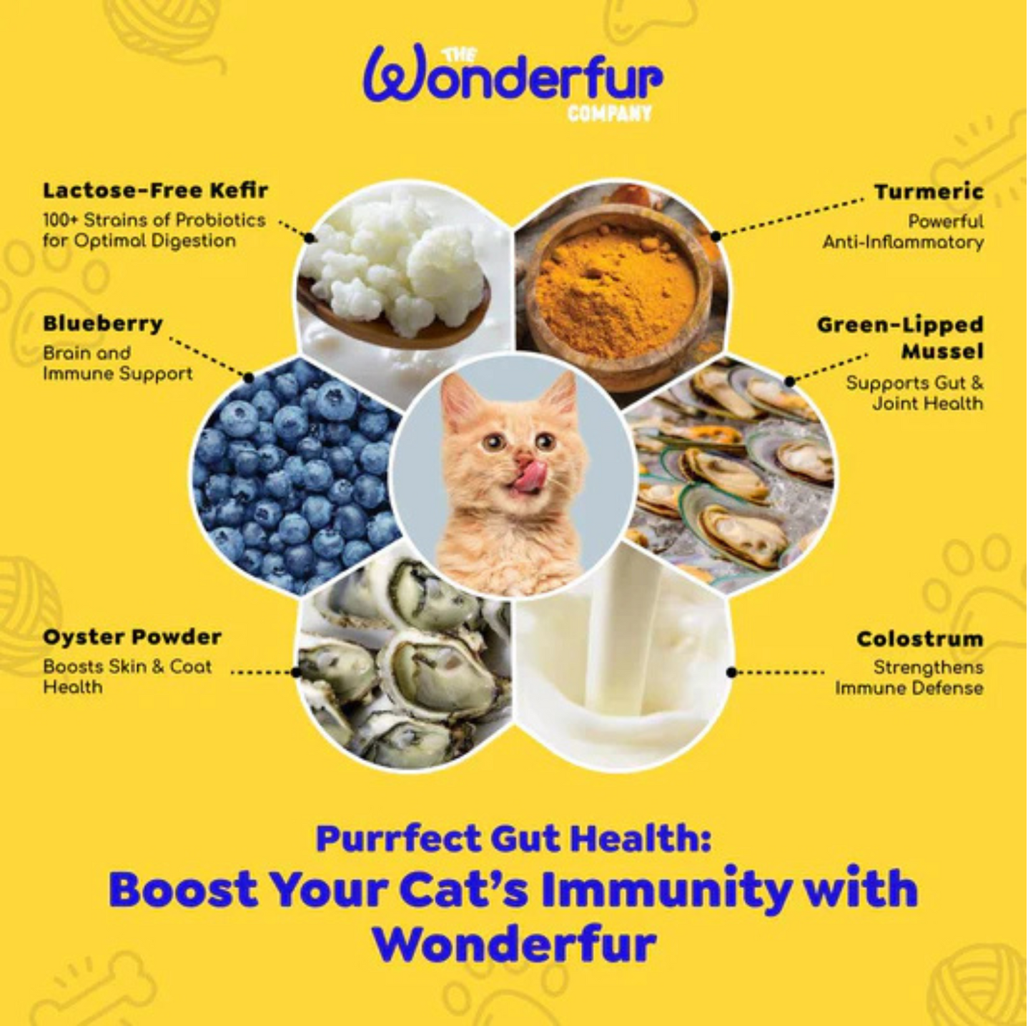 Wonderfur Bites Immune Booster for Cats- Freeze Dried Functional Yogurt Bites - {{product.type}} - PawPawUp