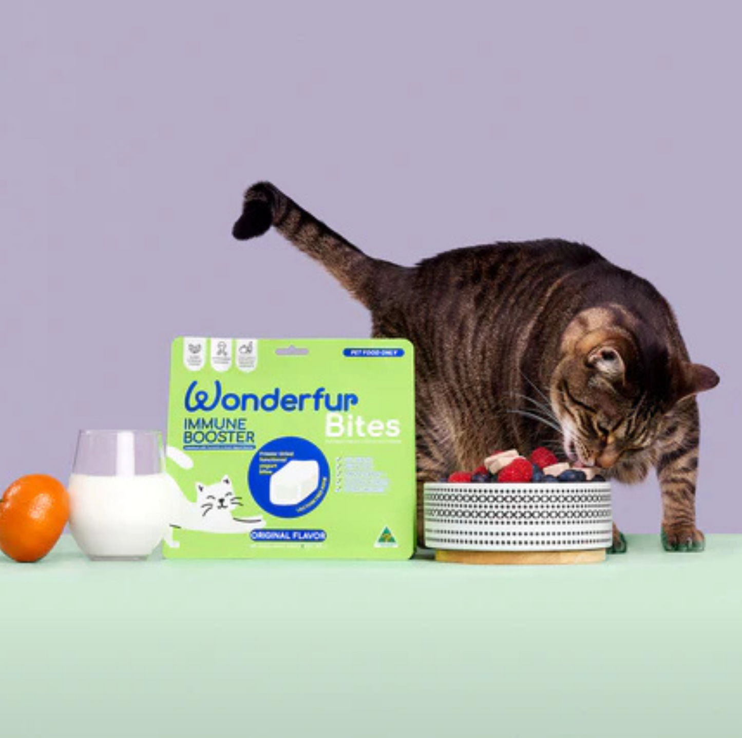 Wonderfur Bites Immune Booster for Cats- Freeze Dried Functional Yogurt Bites - {{product.type}} - PawPawUp
