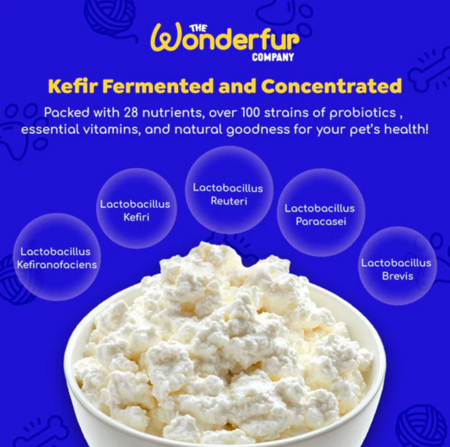 Wonderfur Bites Immune Booster for Dogs - Freeze-Dried Functional Yogurt Bites - {{product.type}} - PawPawUp