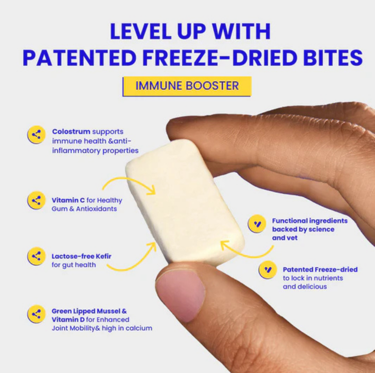 Wonderfur Bites Immune Booster for Dogs - Freeze-Dried Functional Yogurt Bites - {{product.type}} - PawPawUp