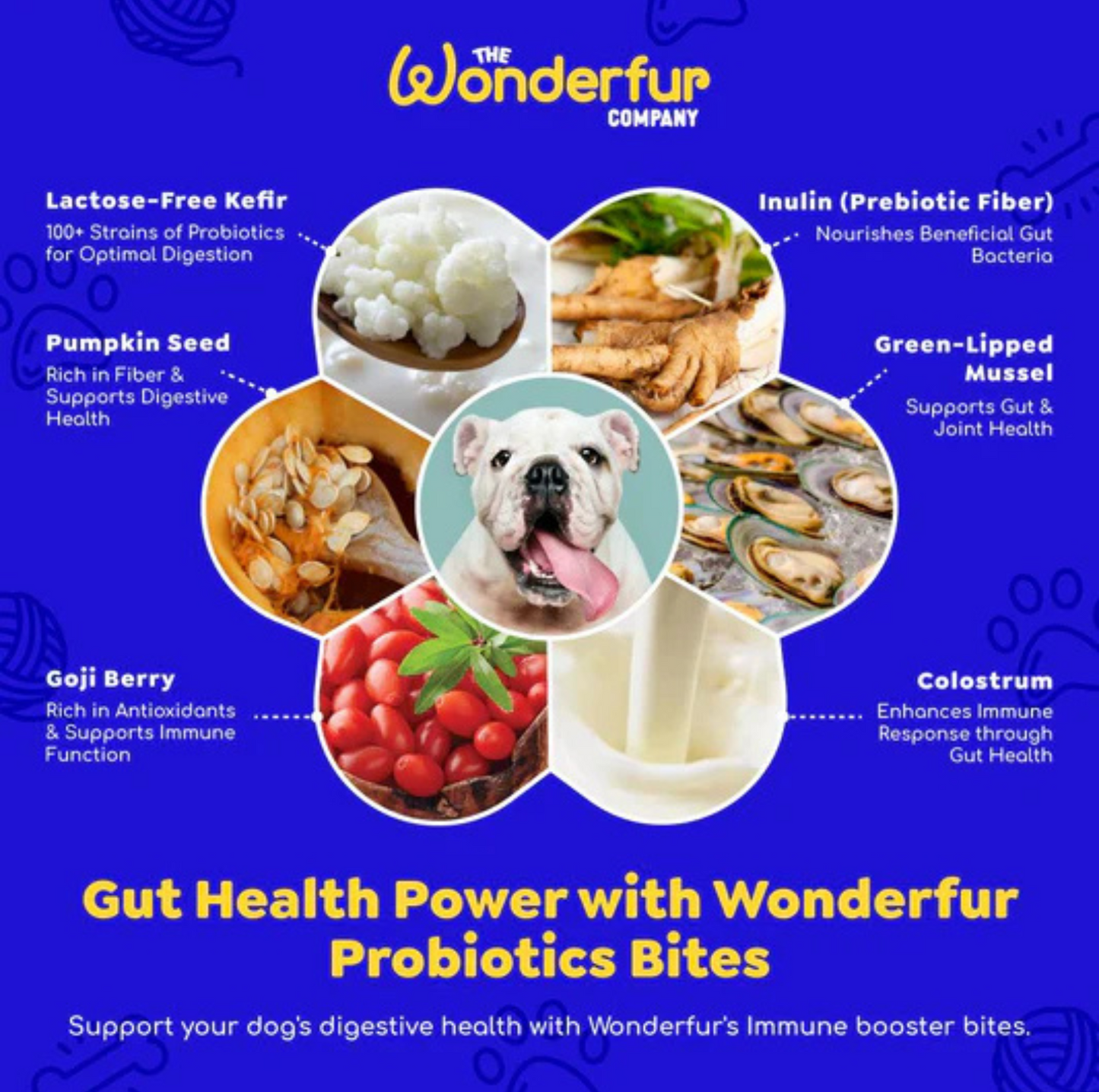 Wonderfur Bites Immune Booster for Dogs - Freeze-Dried Functional Yogurt Bites - {{product.type}} - PawPawUp