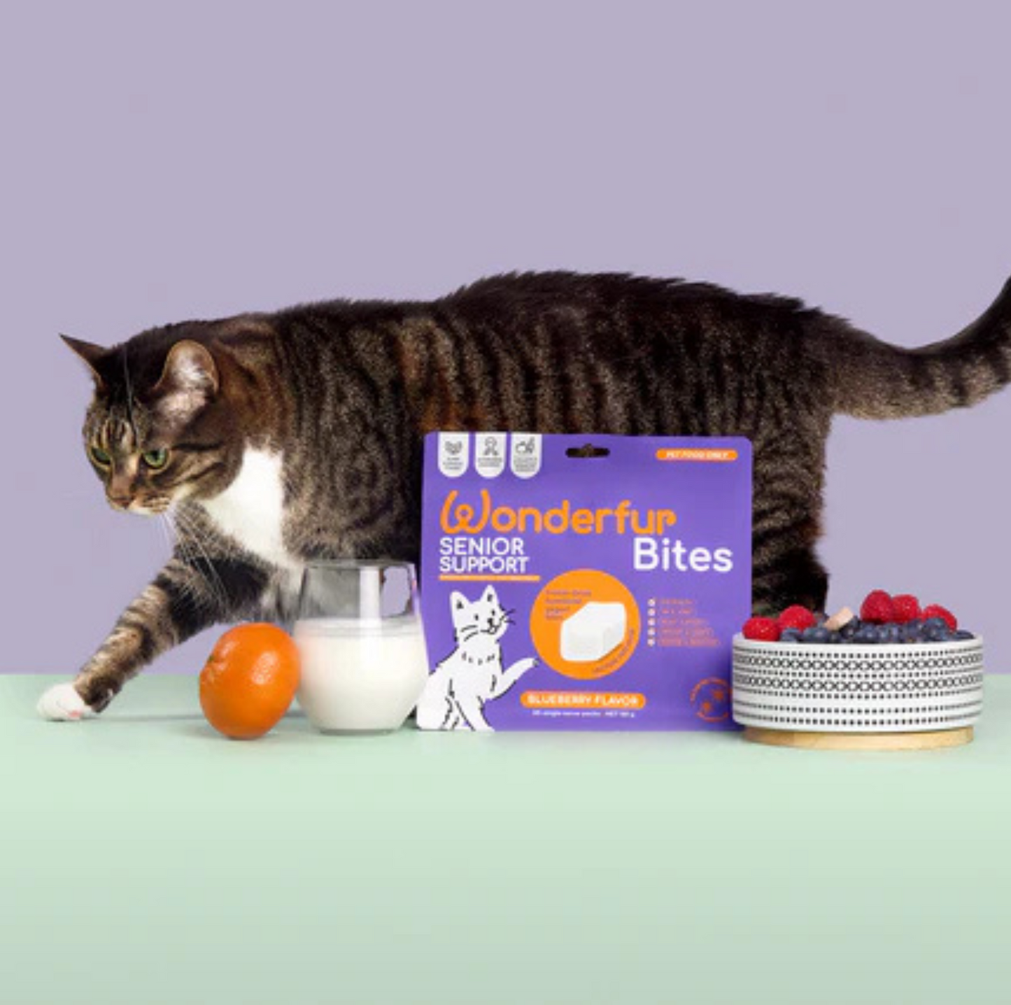Wonderfur Bites Senior Support for Cats - Freeze-Dried Functional Yogurt Bites - {{product.type}} - PawPawUp