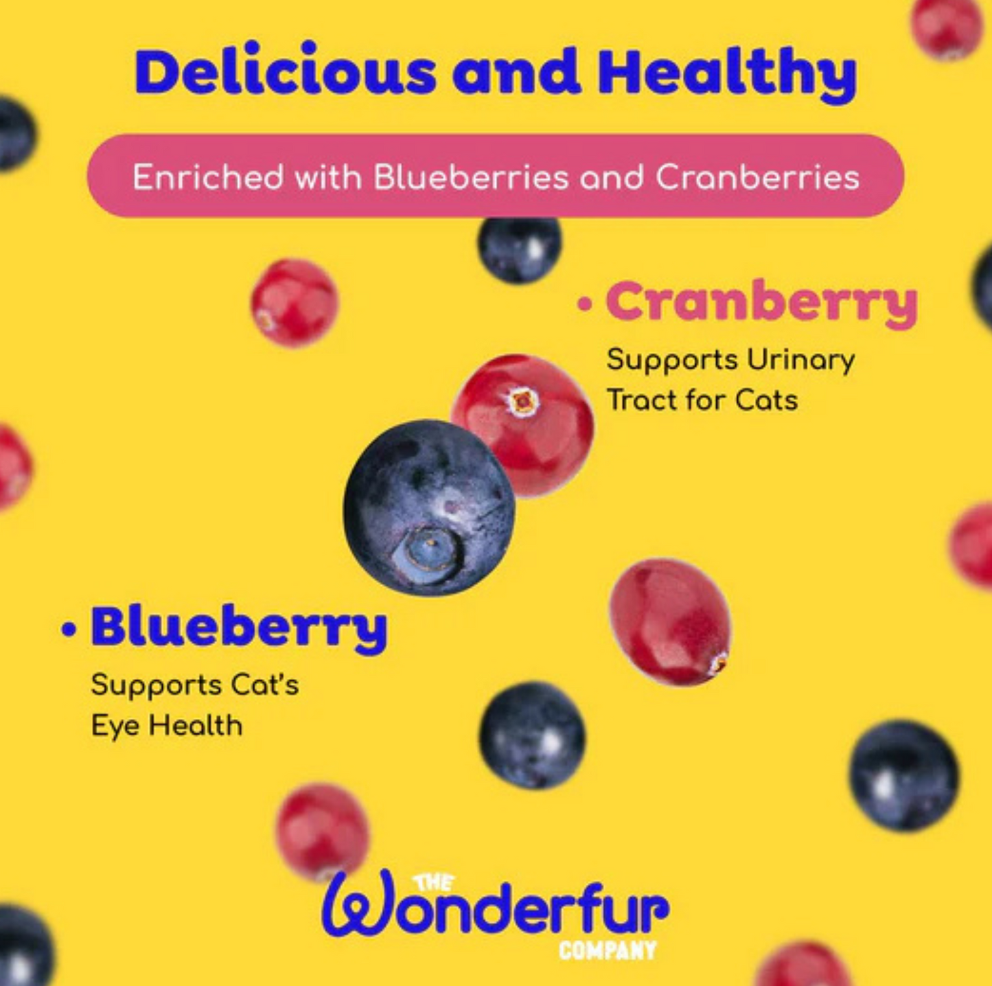 Wonderfur Bites Senior Support for Cats - Freeze-Dried Functional Yogurt Bites - {{product.type}} - PawPawUp