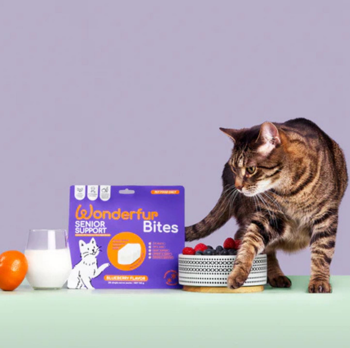 Wonderfur Bites Senior Support for Cats - Freeze-Dried Functional Yogurt Bites - {{product.type}} - PawPawUp
