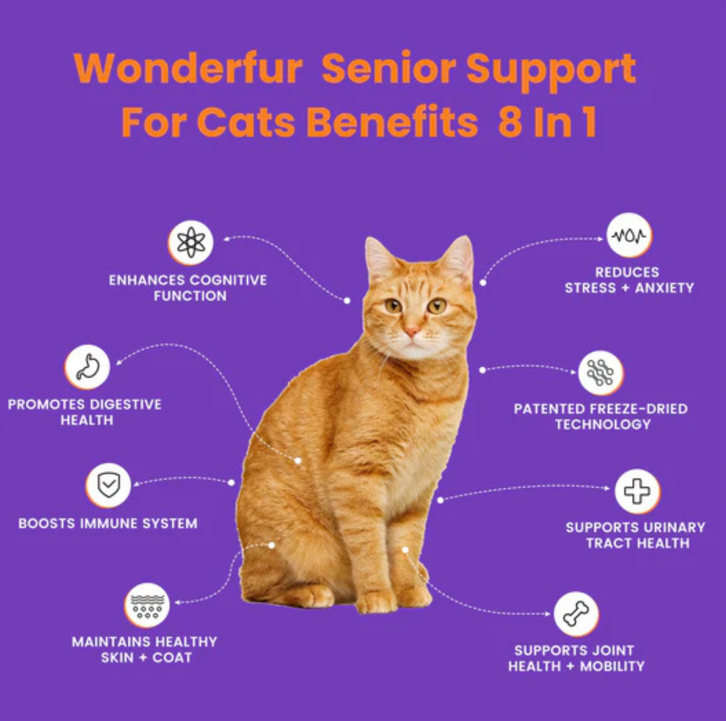 Wonderfur Bites Senior Support for Cats - Freeze-Dried Functional Yogurt Bites - {{product.type}} - PawPawUp