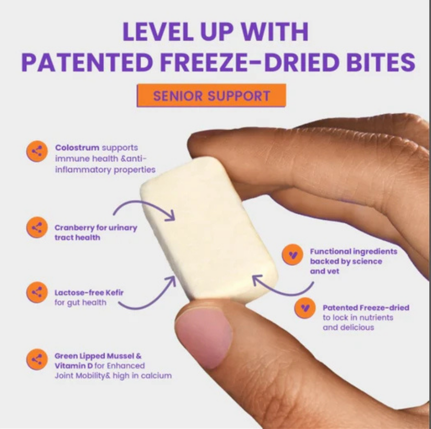 Wonderfur Bites Senior Support for Cats - Freeze-Dried Functional Yogurt Bites - {{product.type}} - PawPawUp