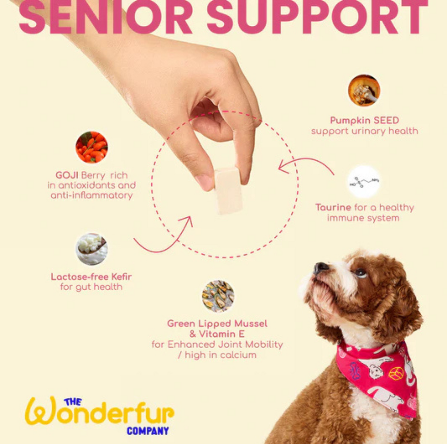 Wonderfur Bites Senior Support for Dogs - Freeze-Dried Functional Yogurt Bites - {{product.type}} - PawPawUp