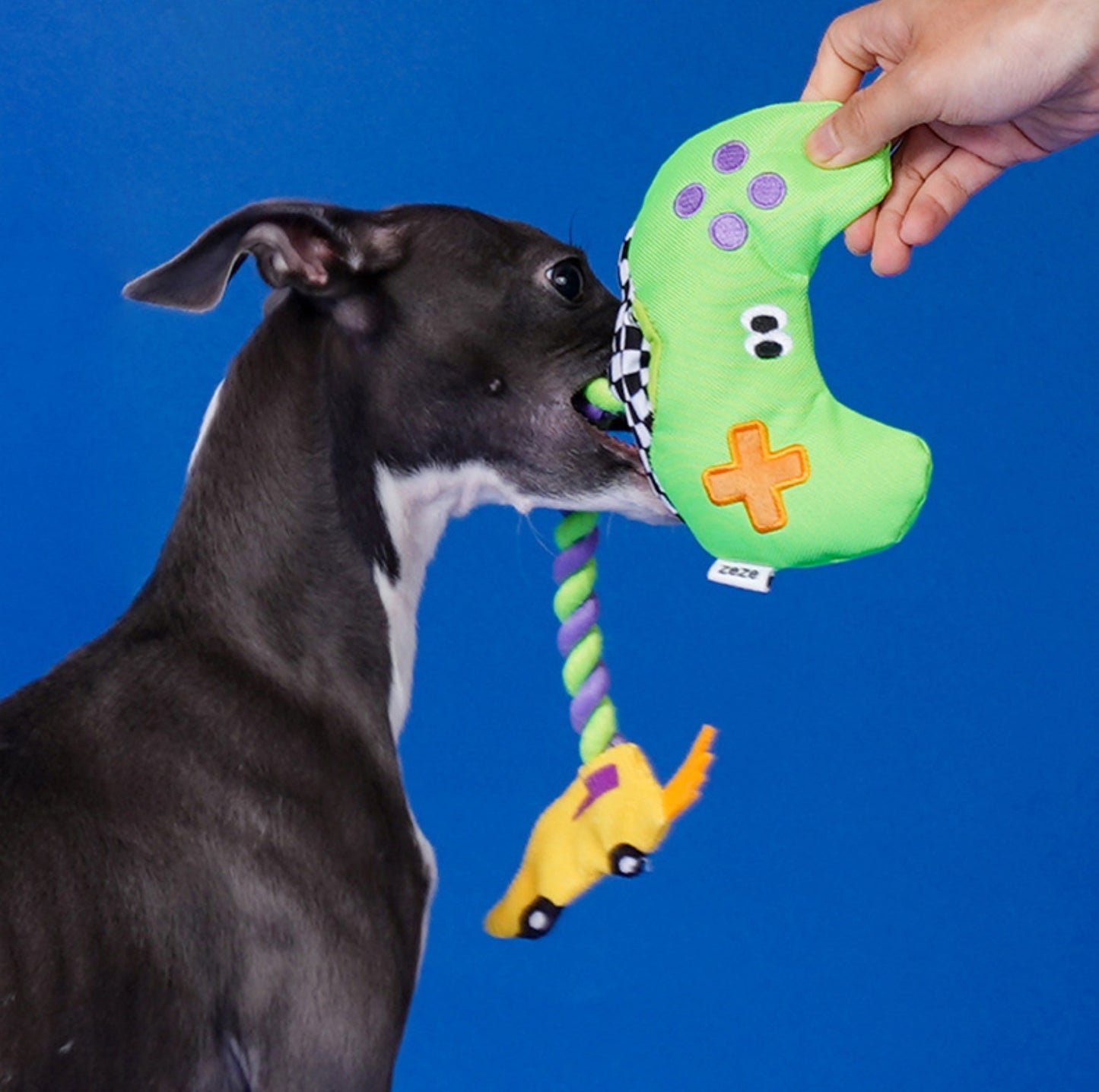 ZeZe Game Controller Rope Dog Toy – Tug, Chew & Squeak! - {{product.type}} - PawPawUp