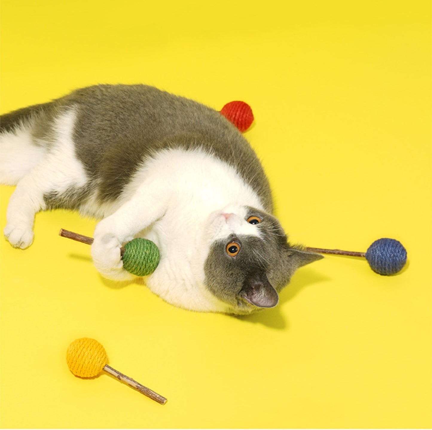 ZeZe Lollipop-Shaped Silvervine Cat Toy - {{product.type}} - PawPawUp