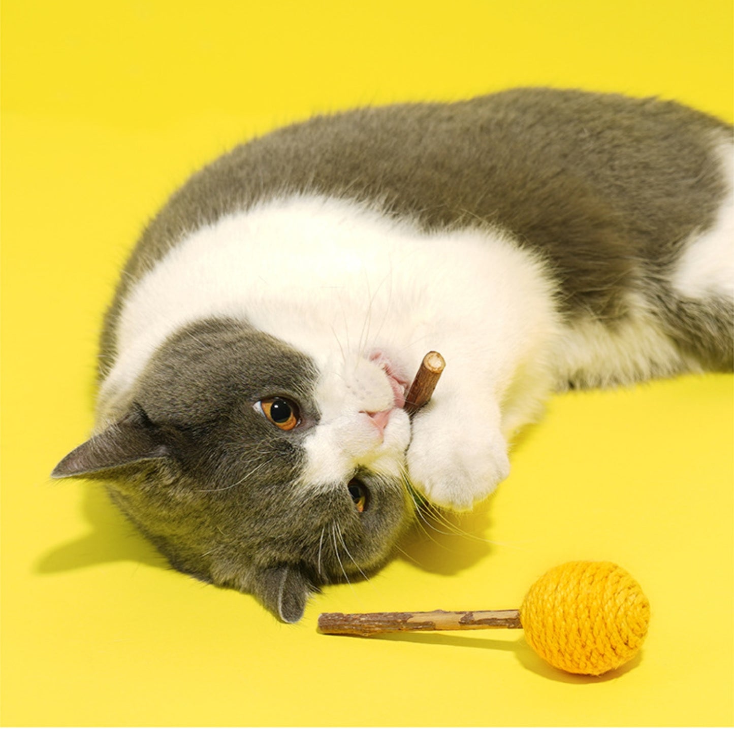 ZeZe Lollipop-Shaped Silvervine Cat Toy - {{product.type}} - PawPawUp