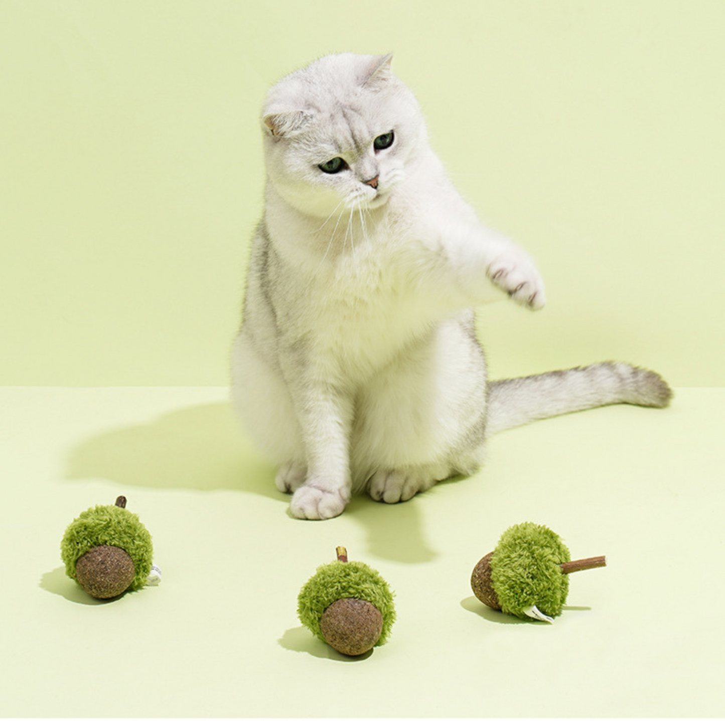 ZeZe Mint-Flavored Acorn Cat Toy - {{product.type}} - PawPawUp