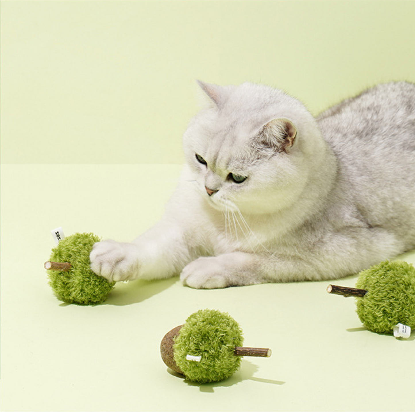 ZeZe Mint-Flavored Acorn Cat Toy - {{product.type}} - PawPawUp