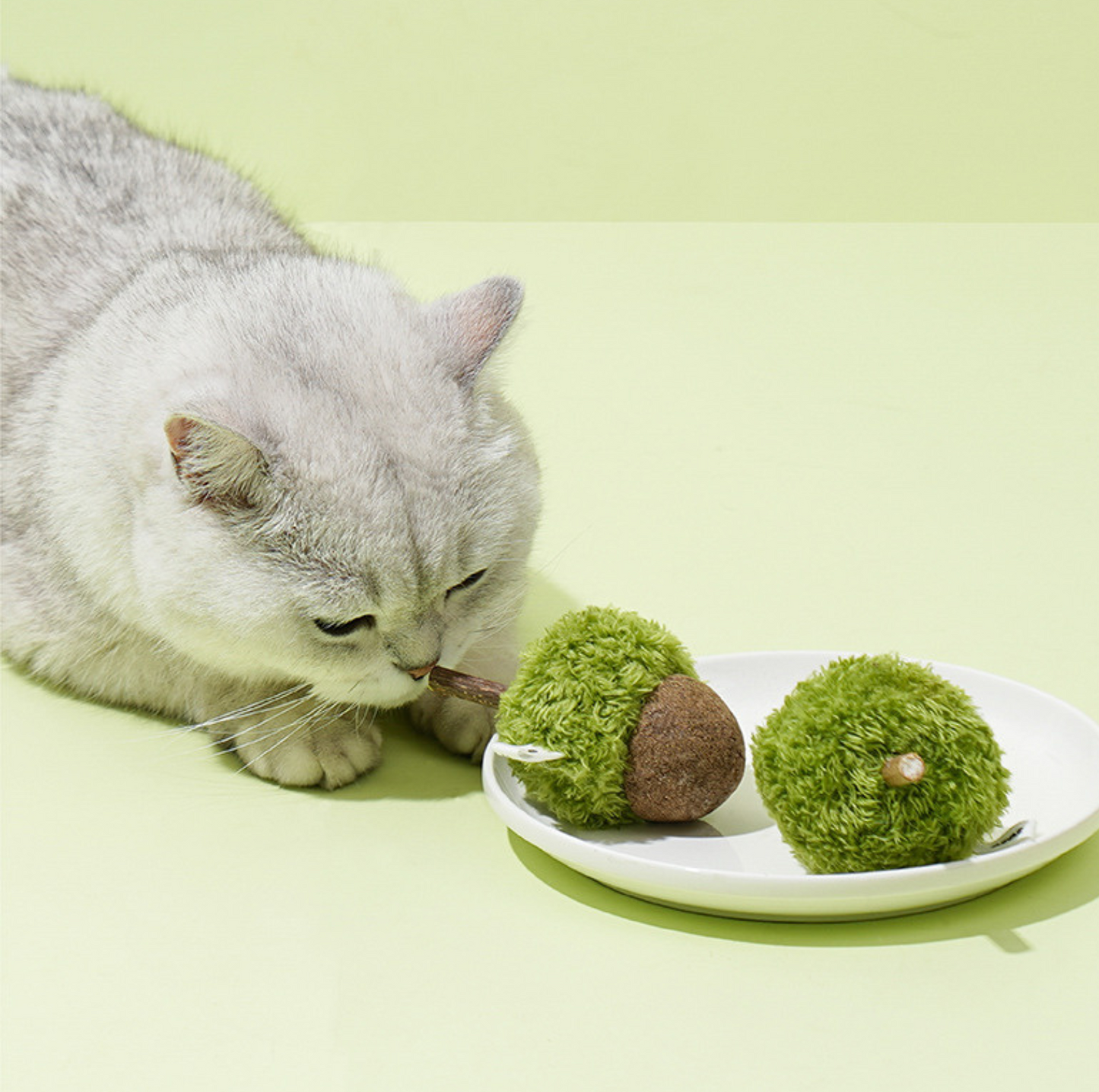 ZeZe Mint-Flavored Acorn Cat Toy - {{product.type}} - PawPawUp