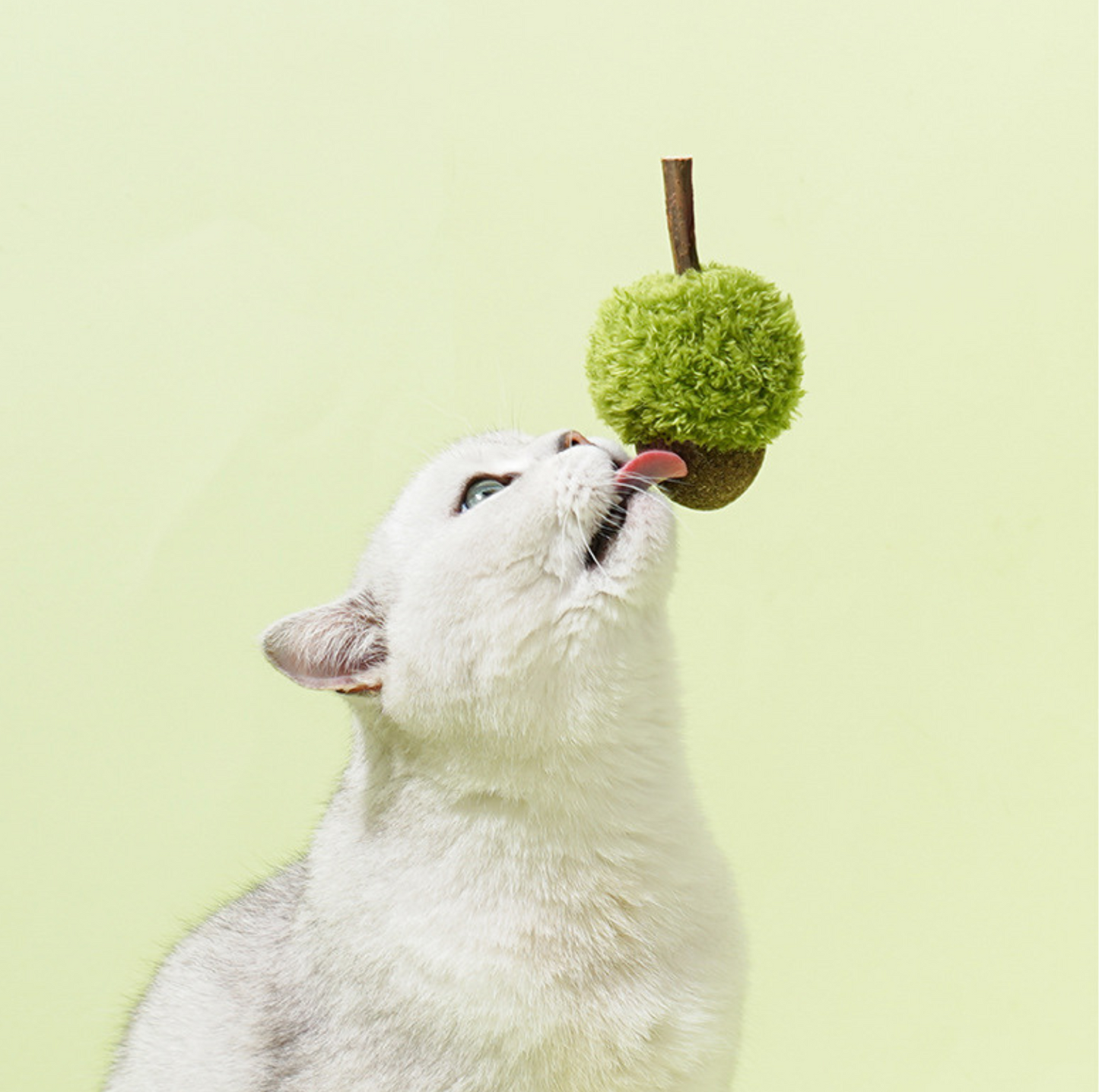 ZeZe Mint-Flavored Acorn Cat Toy - {{product.type}} - PawPawUp