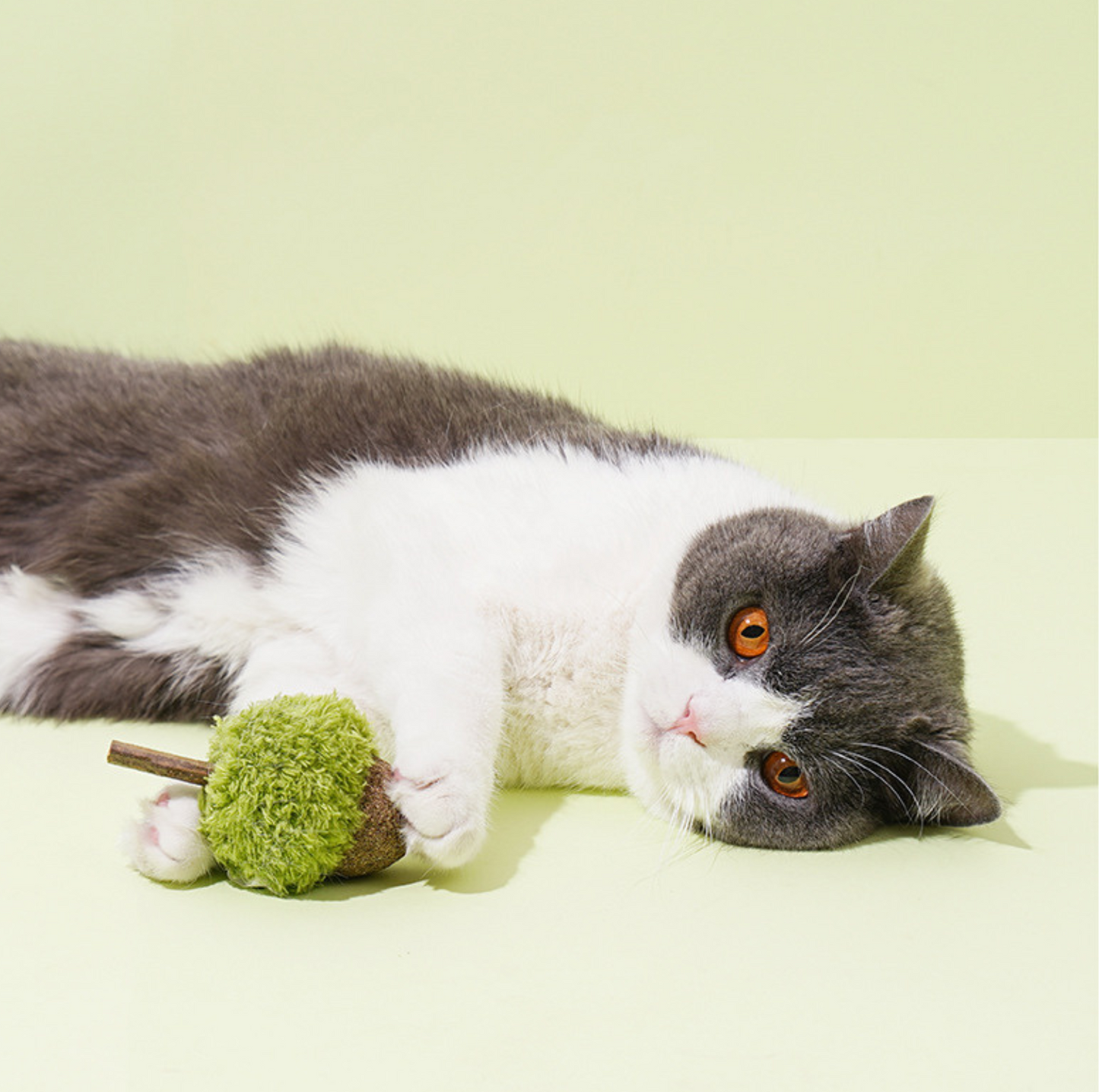 ZeZe Mint-Flavored Acorn Cat Toy - {{product.type}} - PawPawUp