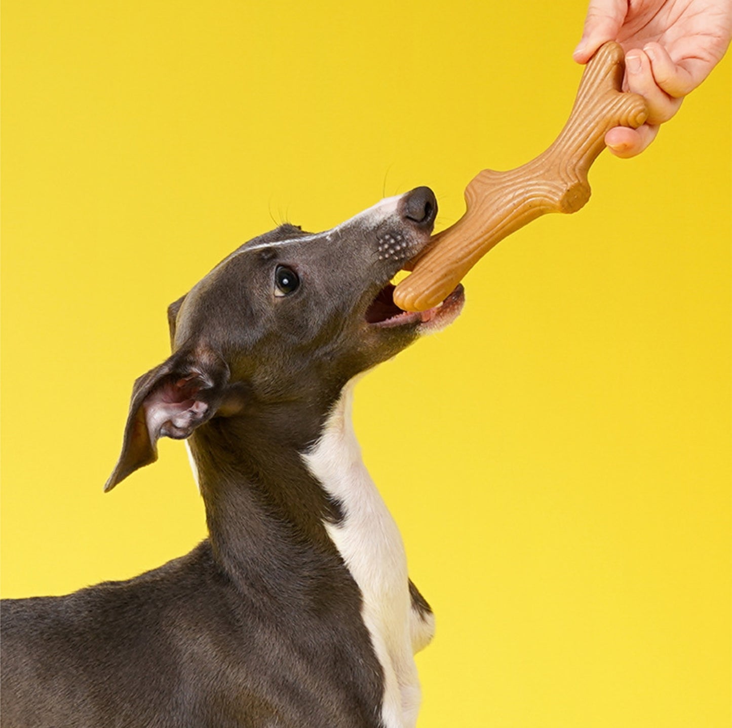 ZeZe Pine Wood Chew Stick – Natural Dental Toy for Dogs - {{product.type}} - PawPawUp