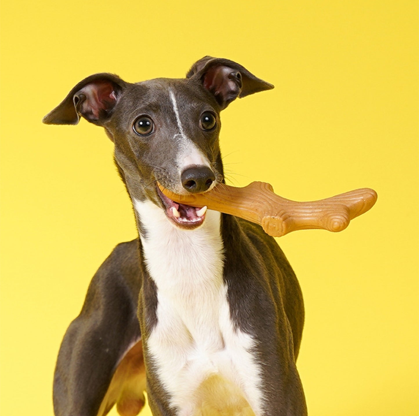 ZeZe Pine Wood Chew Stick – Natural Dental Toy for Dogs - {{product.type}} - PawPawUp
