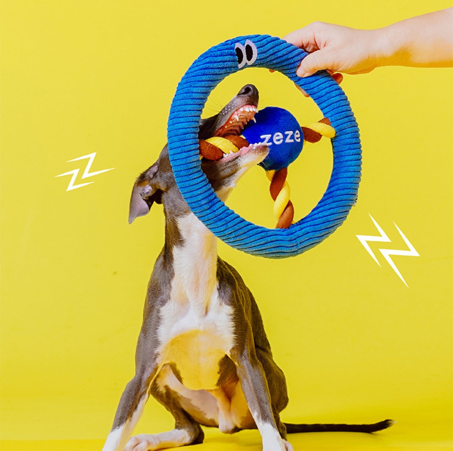 ZEZE Steering-Wheel Shaped Dog Toy - {{product.type}} - PawPawUp