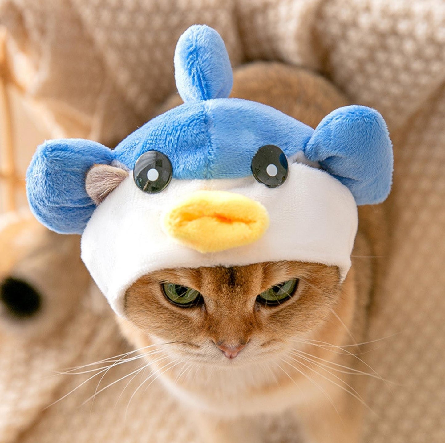 3D Cartoon Animal Velvet Pet Headdress for Festivals & Parties - {{product.type}} - PawPawUp