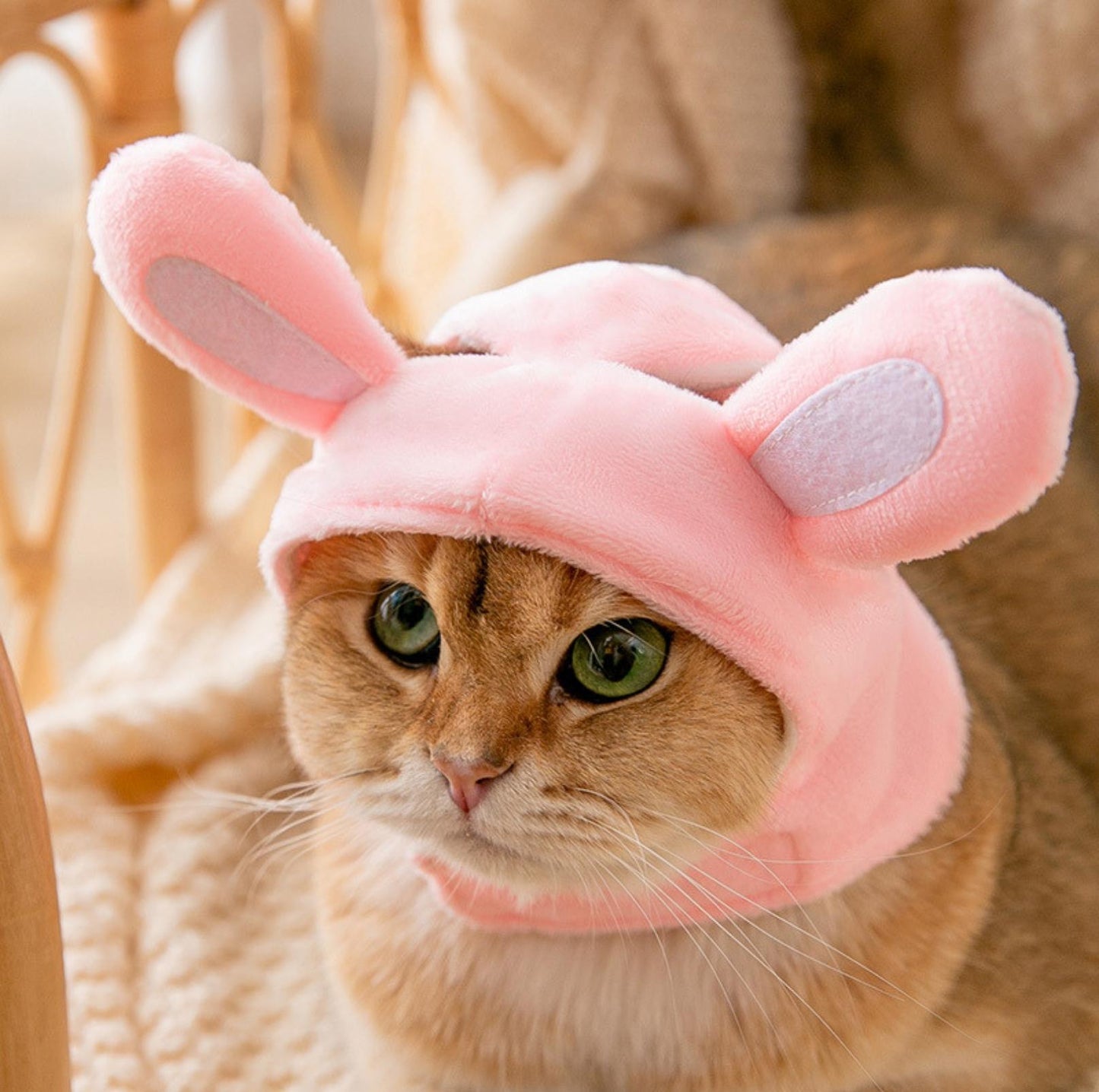 3D Cartoon Animal Velvet Pet Headdress for Festivals & Parties - {{product.type}} - PawPawUp