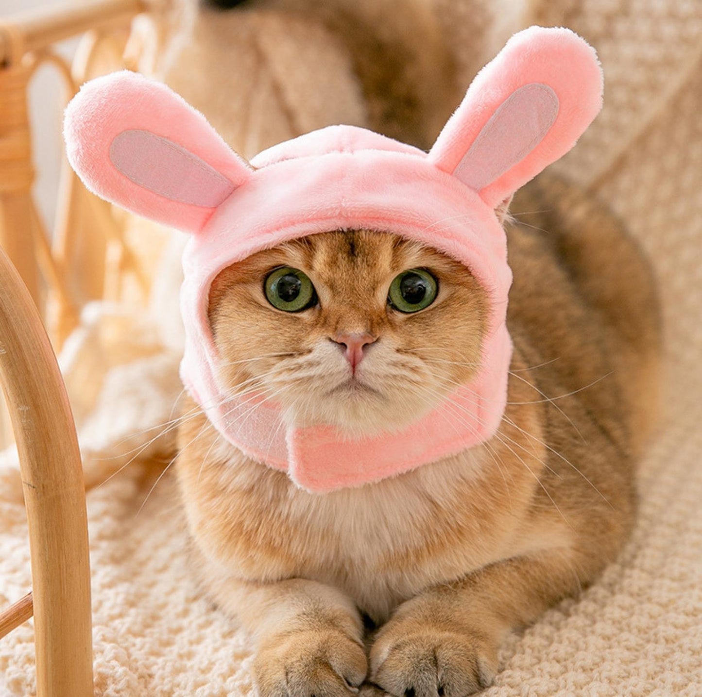 3D Cartoon Animal Velvet Pet Headdress for Festivals & Parties - {{product.type}} - PawPawUp