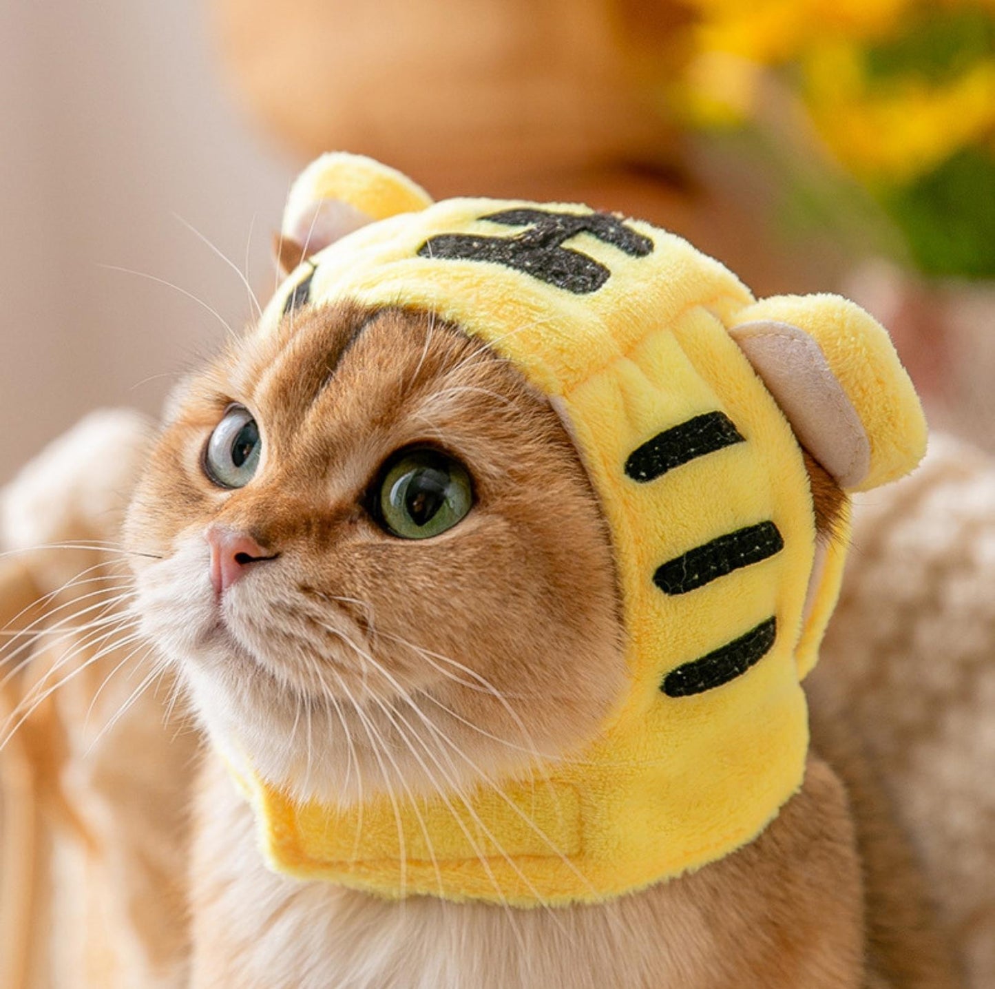3D Cartoon Animal Velvet Pet Headdress for Festivals & Parties - {{product.type}} - PawPawUp