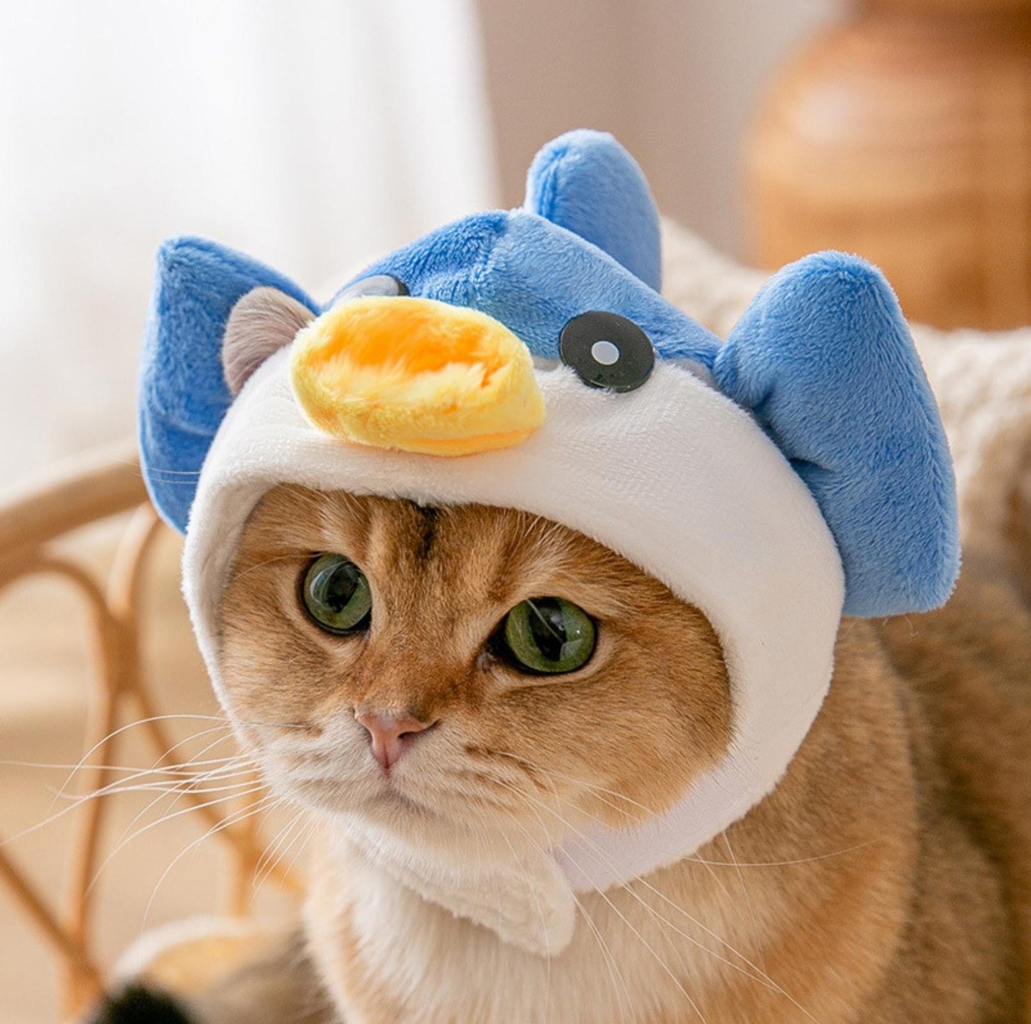 3D Cartoon Animal Velvet Pet Headdress for Festivals & Parties - {{product.type}} - PawPawUp